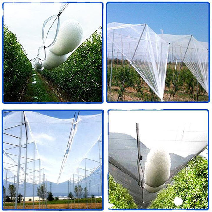 Uebst Tree Plastik Netting Hagel Schutz Anti-Heel Net